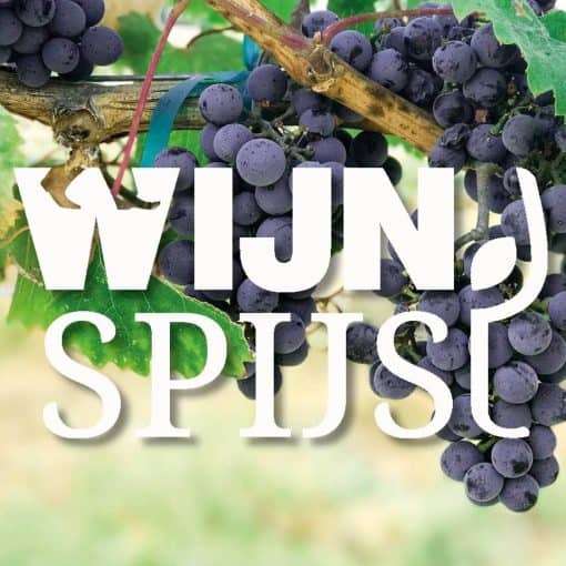 Bij Girls Who Magazine houden we van culinaire activiteiten, dat weten jullie inmiddels wel. Het liefst vullen wij ieder weekend zo vol mogelijk in met leuke dingen, en we vinden het leuk om deze bijzondere uitstapjes met jullie te delen. Een WijnSpijs wandeling bijvoorbeeld, in een (on)bekende stad.