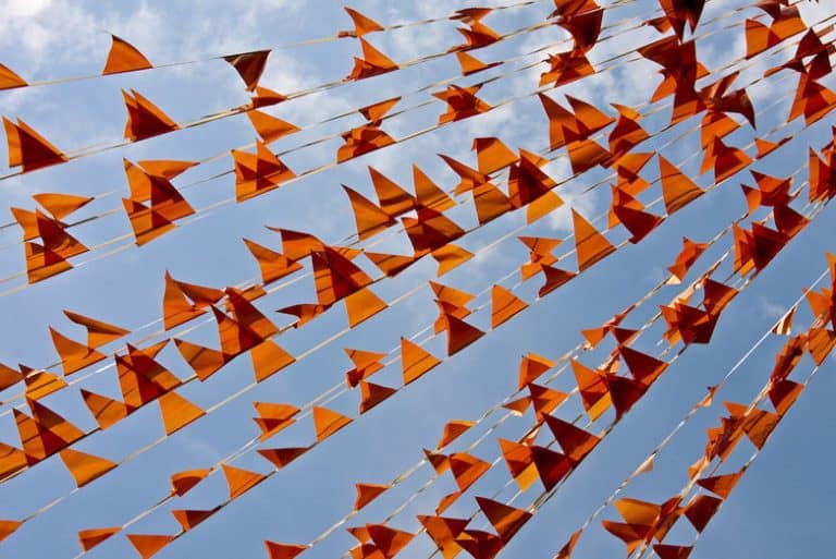 Koningsdag 2021 vieren: 14 x dit kun je wél doen | GIRLS WHO