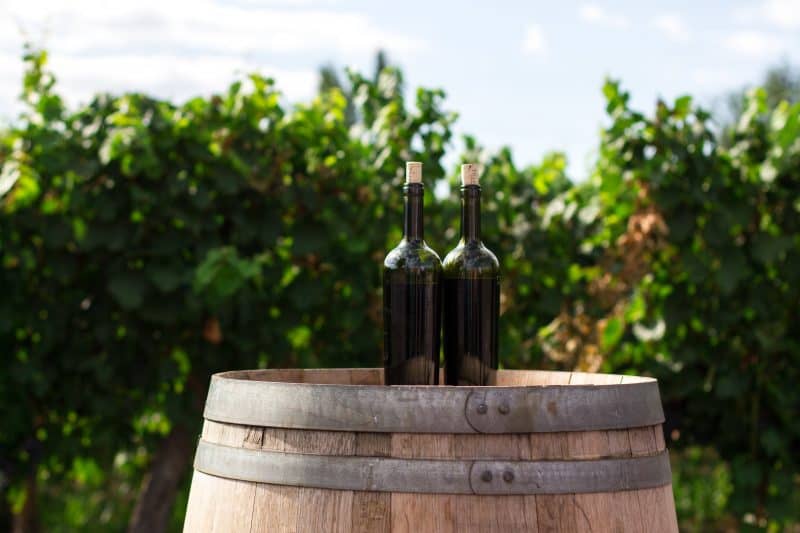 Wijnen in Puglia. Wijnsoorten in Puglia. Wijn drinken in Puglia. De wijncultuur van Puglia. Primitivo. Wijngaarden bezoeken