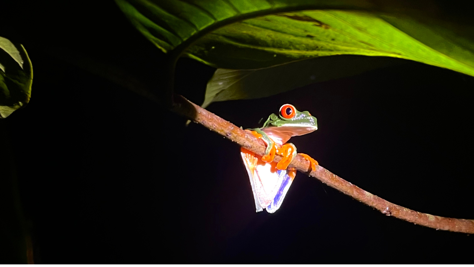 Avontuurlijke rondreis Costa Rica