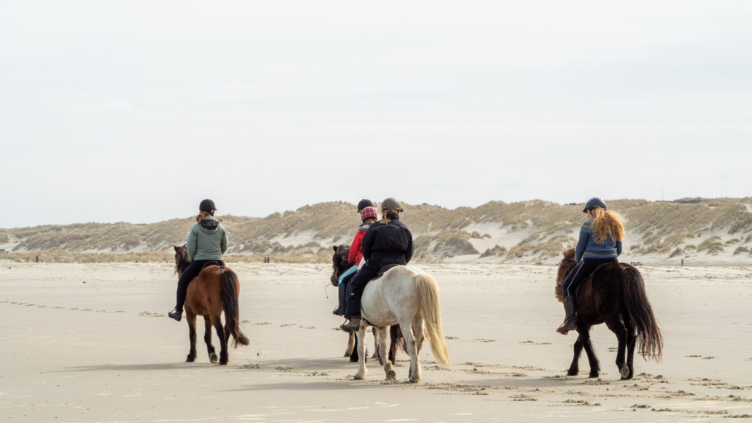 Horse riding beach