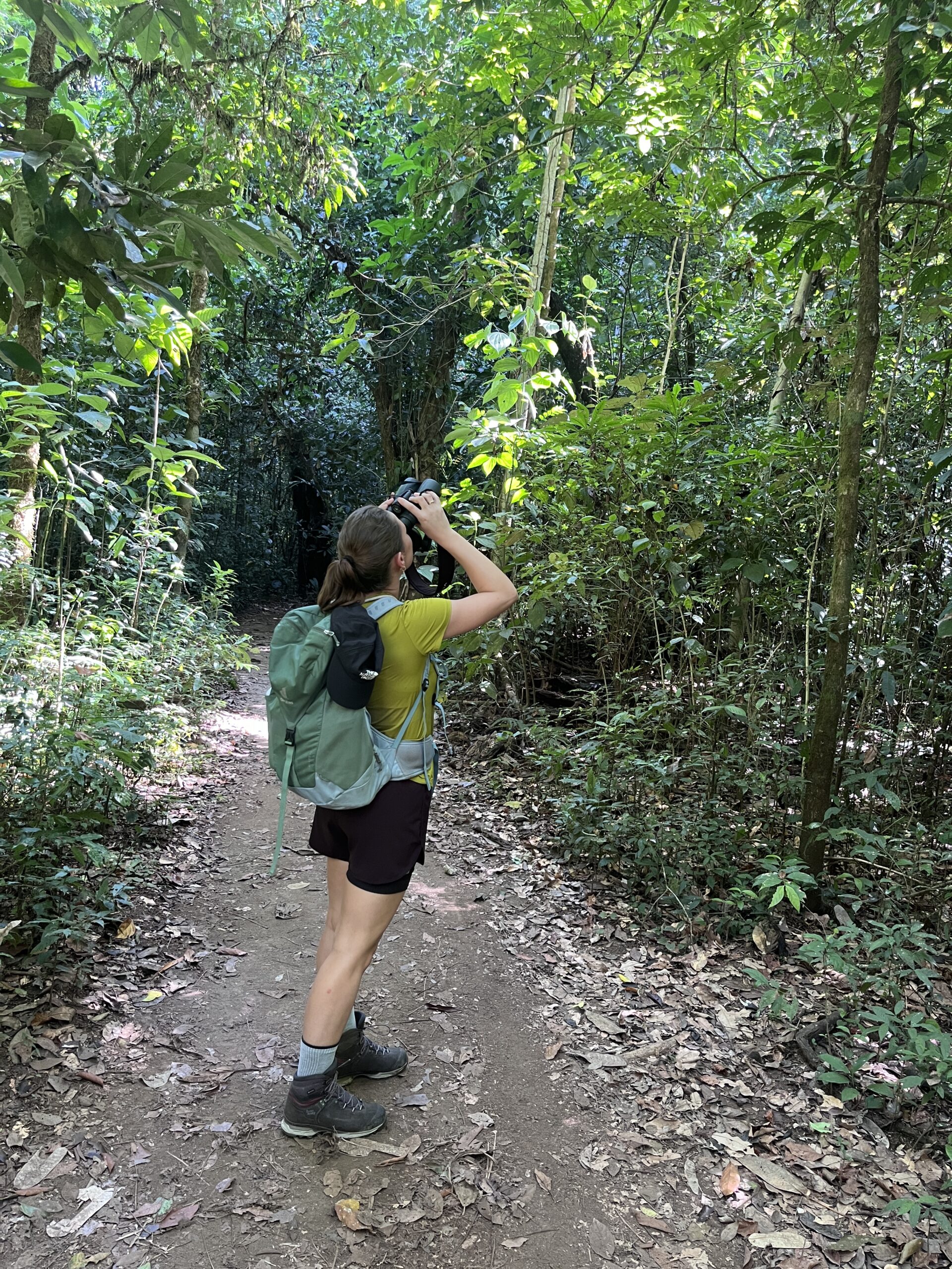 Avontuurlijke rondreis Costa Rica