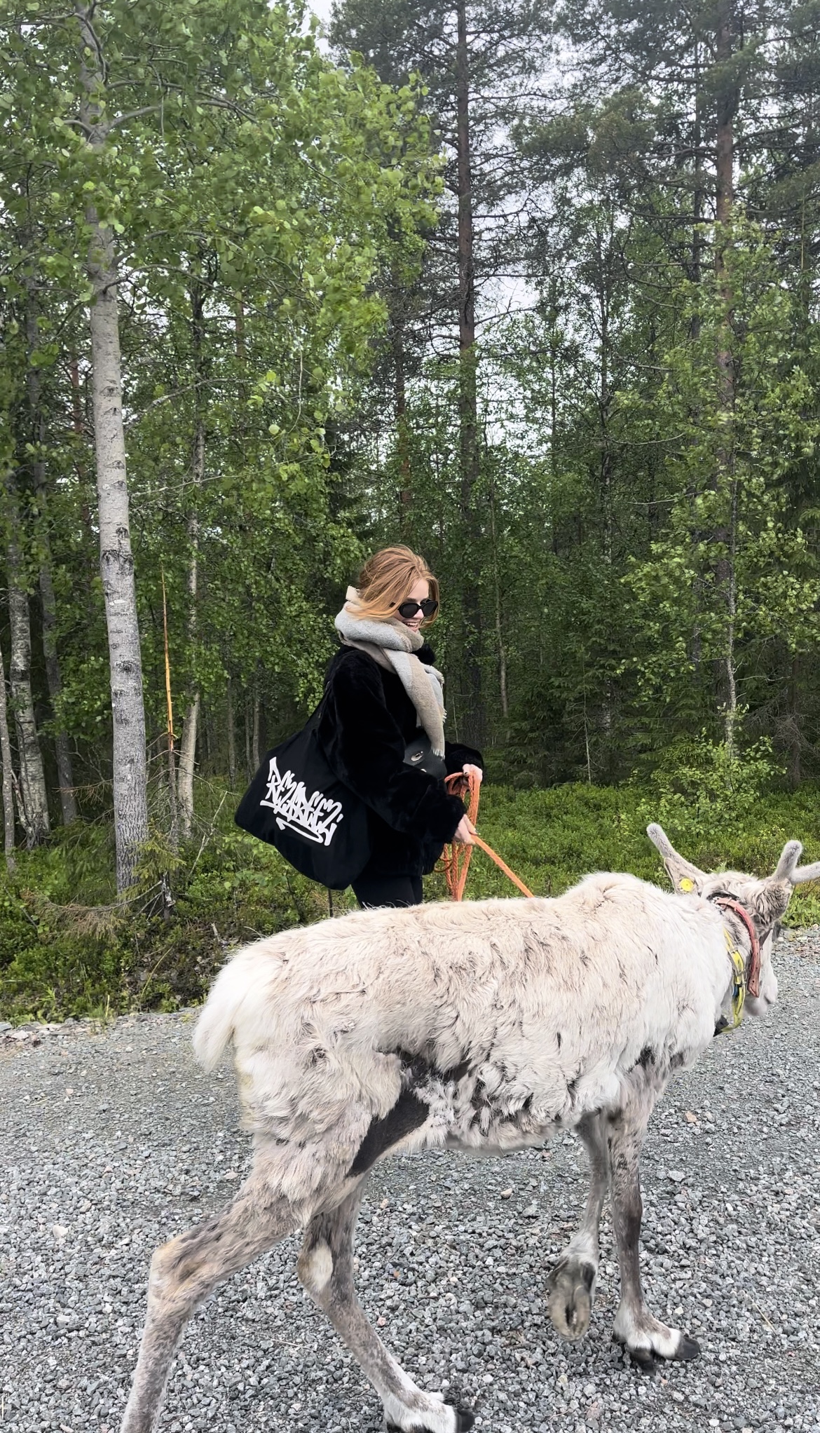 Kujala-Reindeer-wat-te-doen-ruka-kuusamo-finland