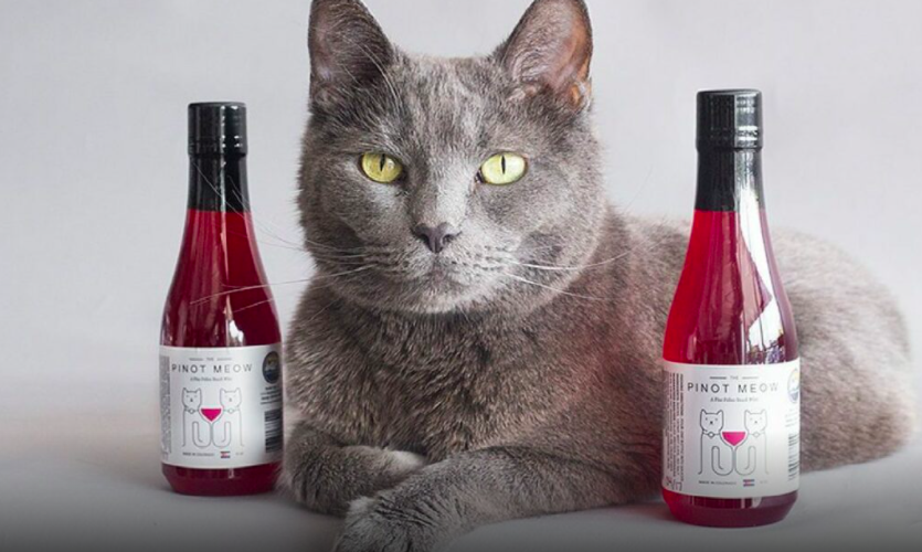 catewine - wijn voor katten - pursecco - snacks voor kat - kattennamen - originele kattennamen