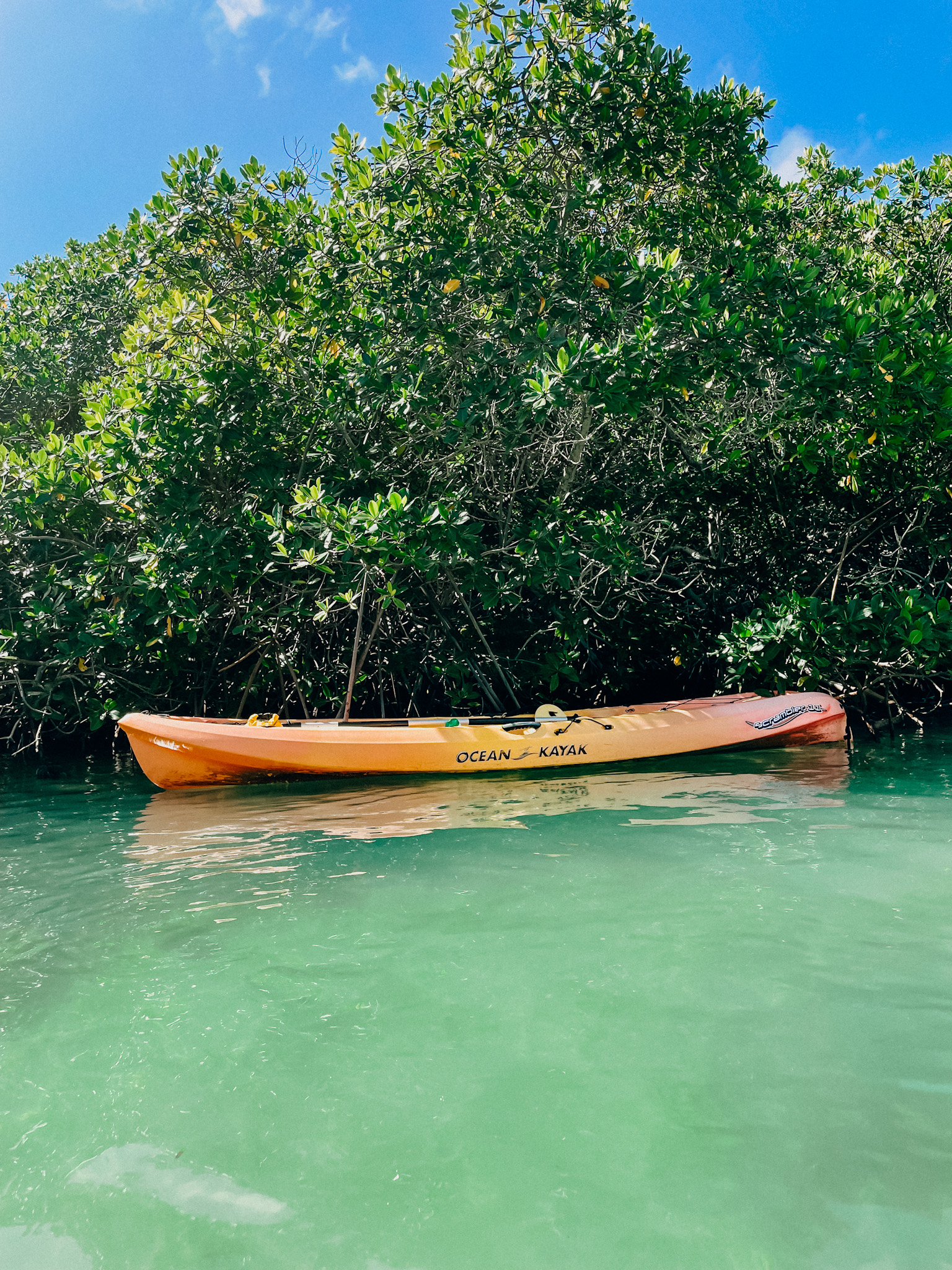 kajakken mangroves bonaire