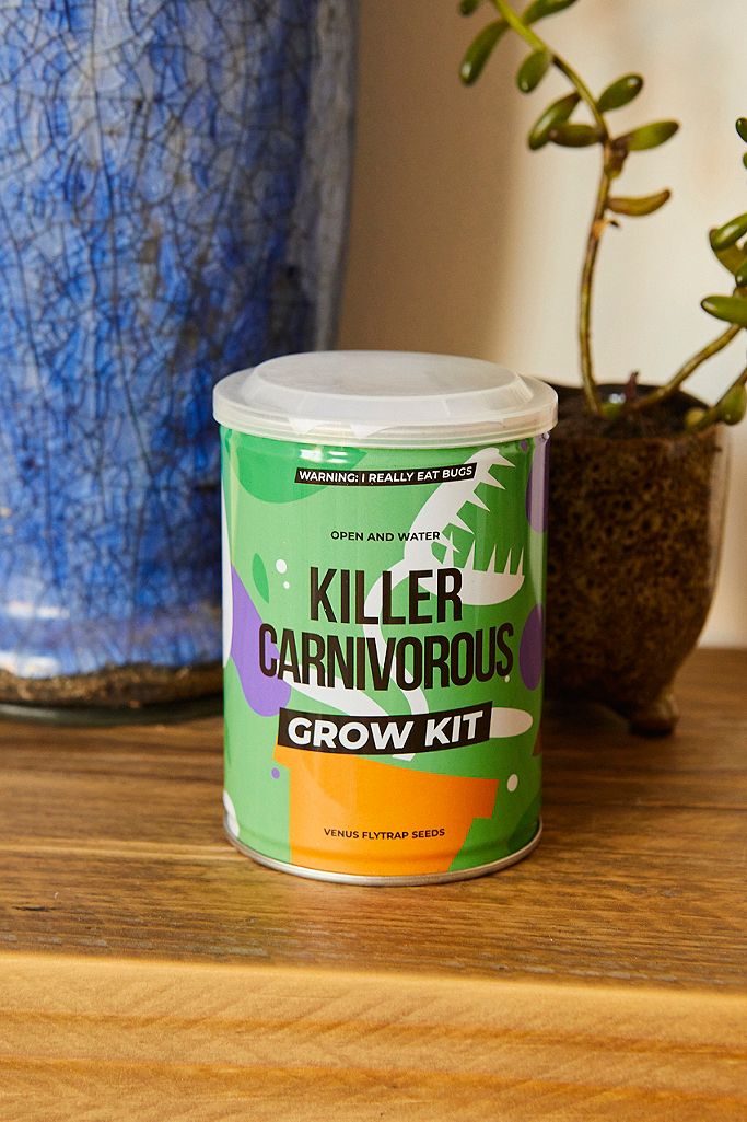 grow kit - grown your own - plant uit blik - cactus - carnivore - bonsai