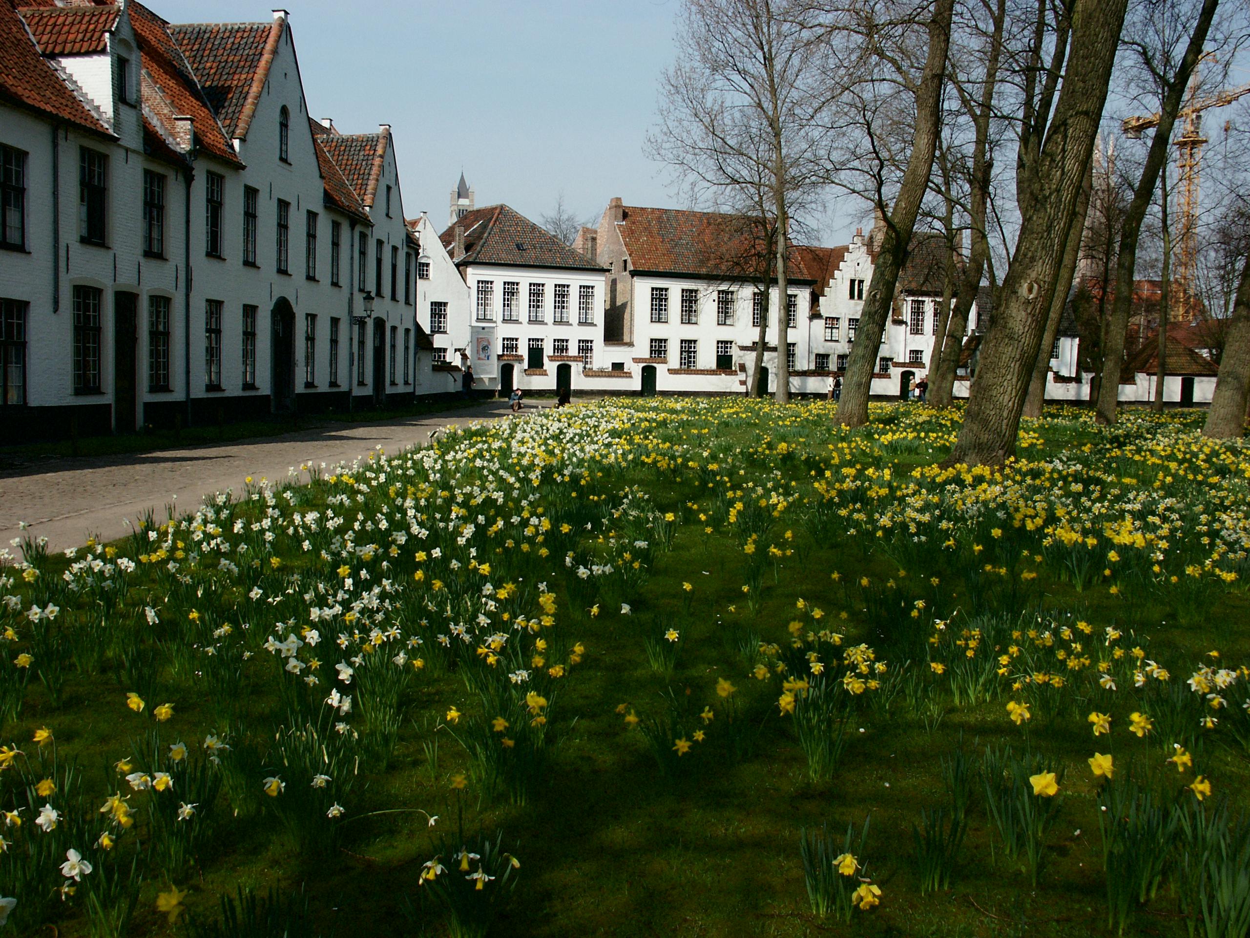 verborgen binnentuinen Amsterdam - begijnhof amsterdam -