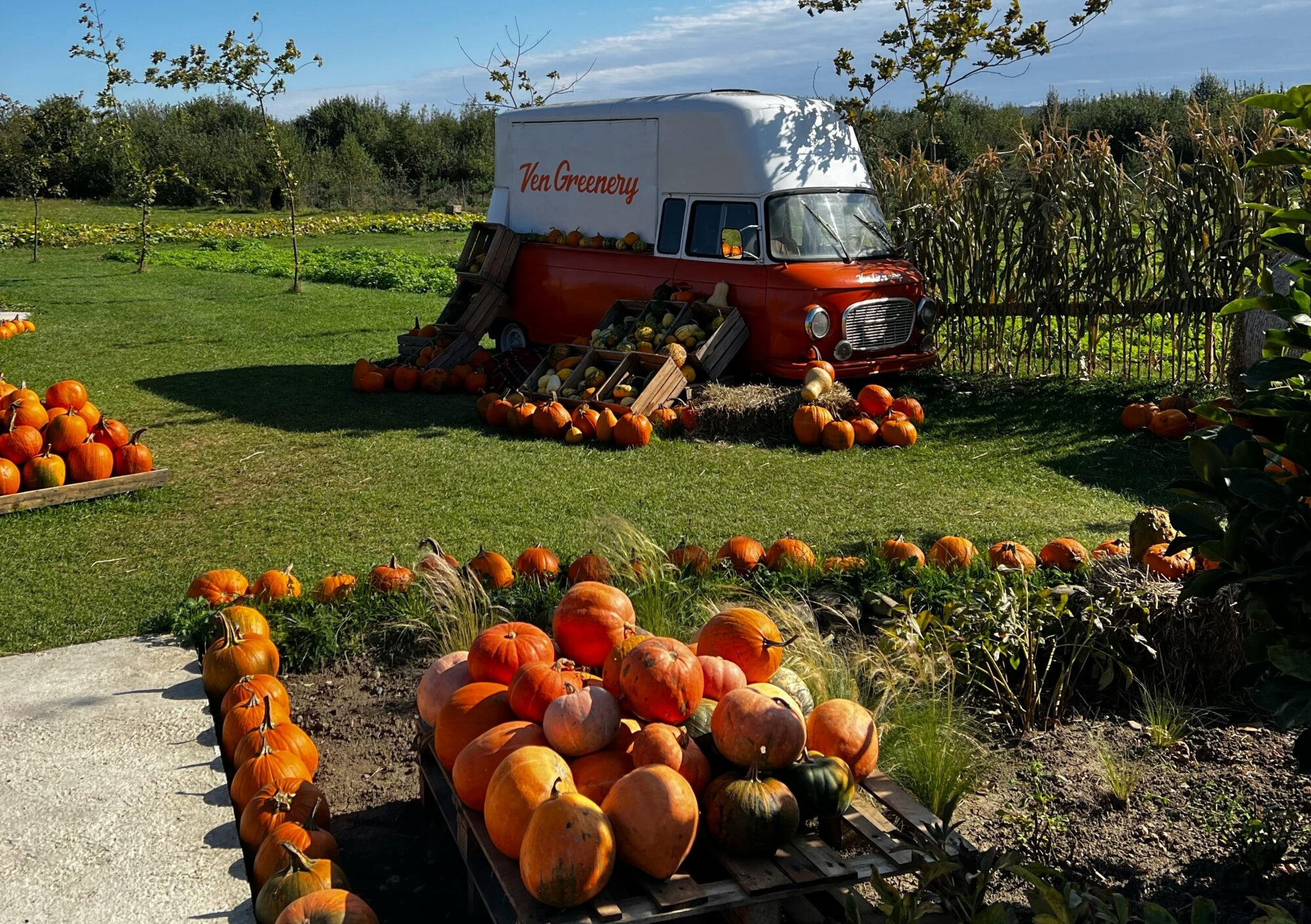 wat te doen tijdens de herfstvakantie 2025 - activiteiten herfstvakantie in nederland -herfstvakantie 2025