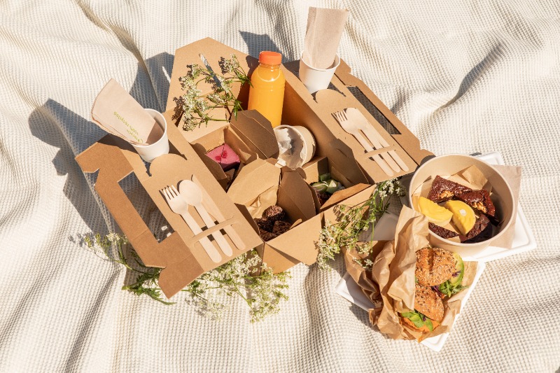 Verborgen Ambassade Deens Picknicken in Rotterdam: Afhaal pakketten & spots | GIRLS WHO