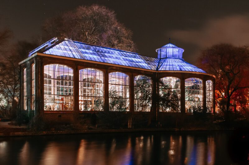 hortus by night - hortus botanicus - winter date amsterdam - wat te doen in amsterdam december - winter event
